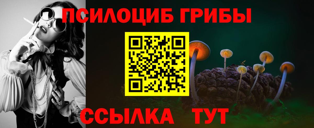 Галлюциногенные грибы Psilocybine cubensis Борисоглебск