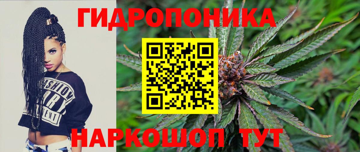 Борисоглебск  Конопля OG Kush  Конопля план  Вход с VPN  Каннабис конопля 